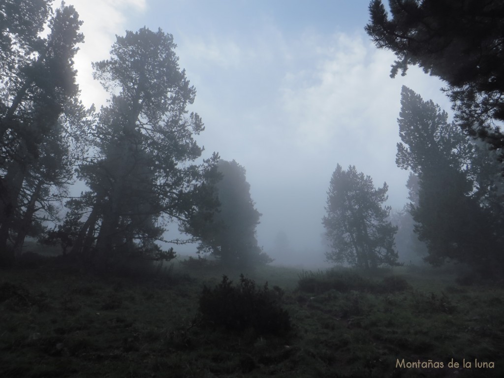 Acercándome a la cima de la sierra