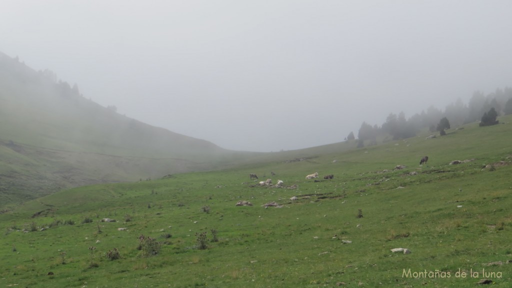 Coll de Moixeró, 1.972 mts.