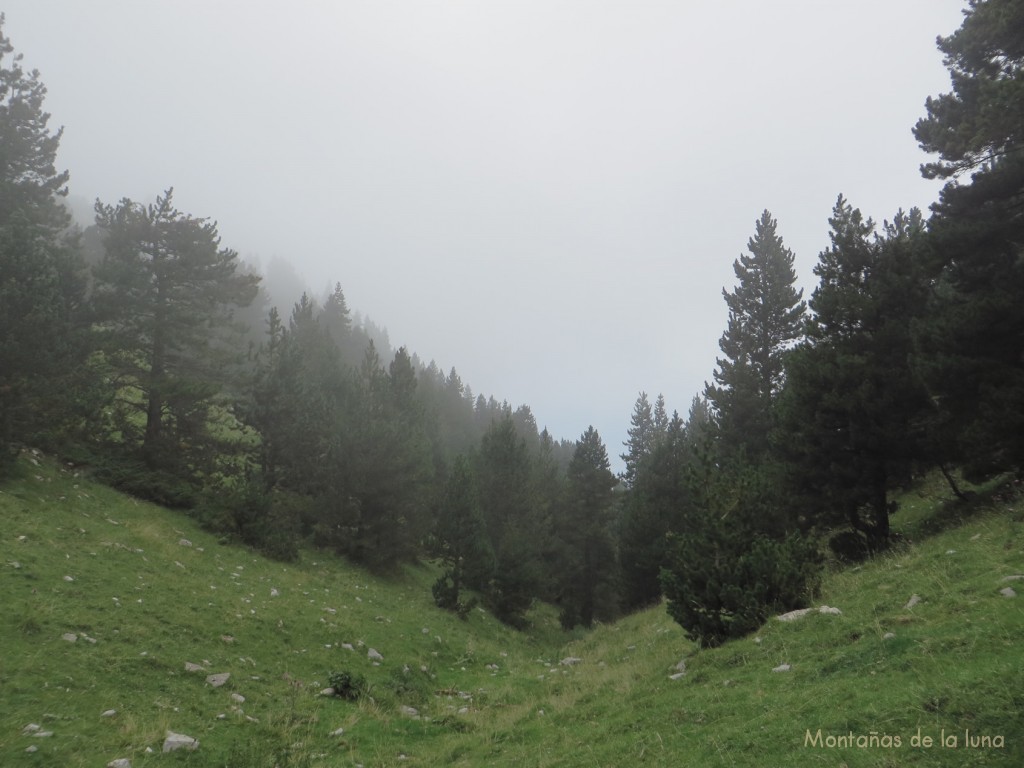 Valle de La Font de La Coma