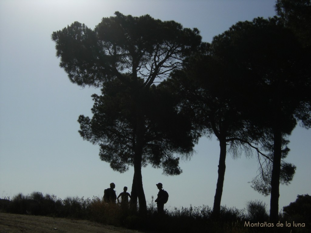 Camino del Turó d'en Baldiri