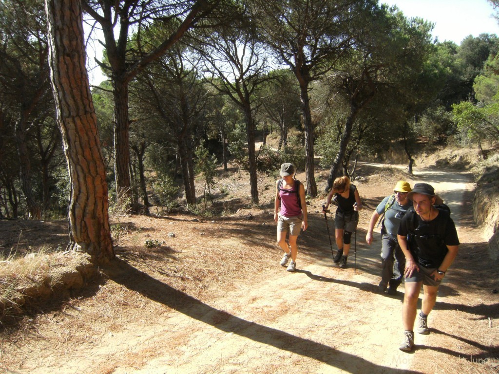 Camino de Sant Mateu, delante David Luis