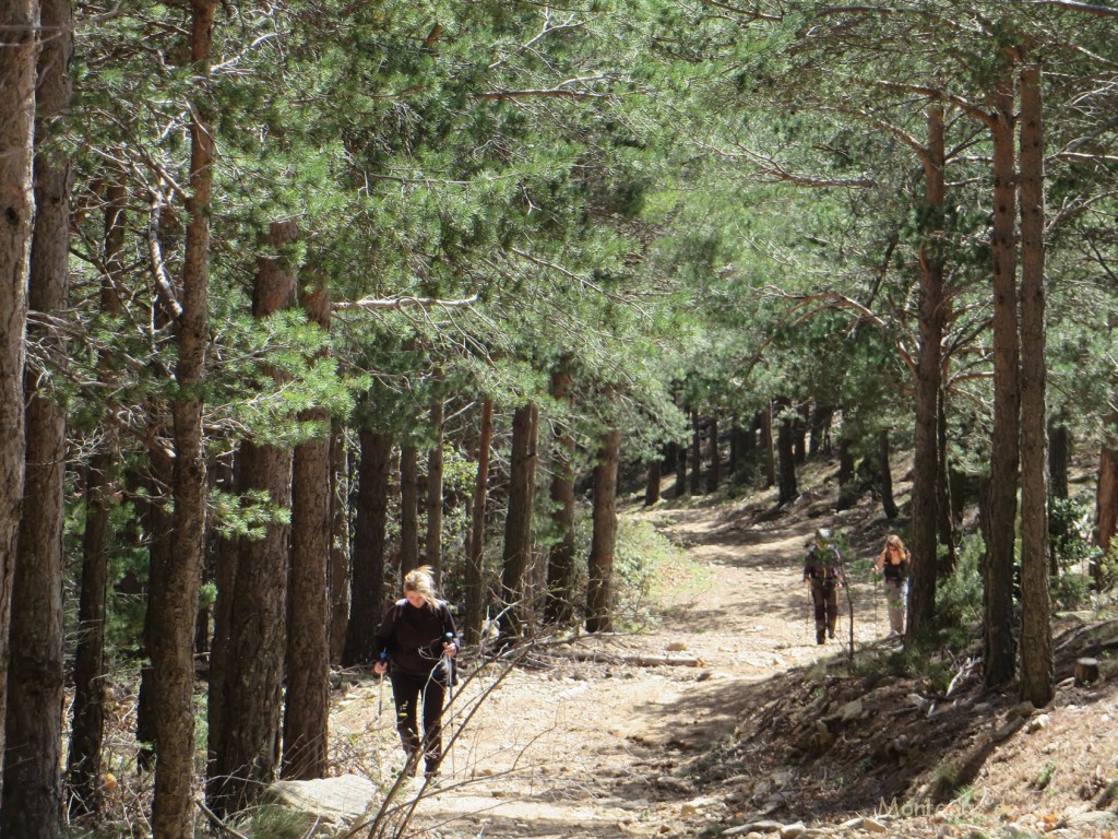 Camino del Santuari de Les Salines