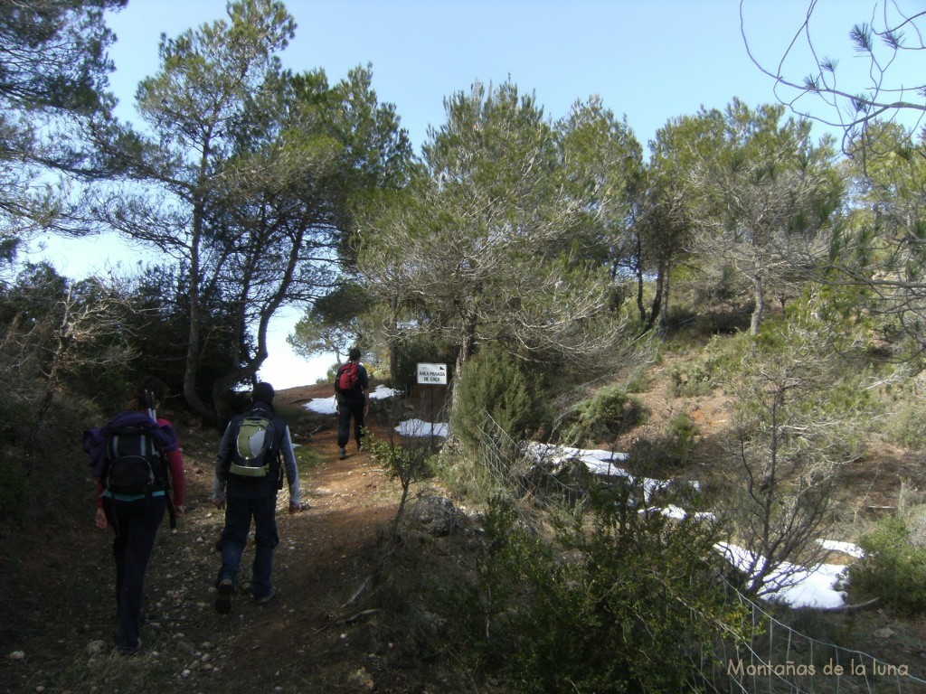 Coll de Caselles