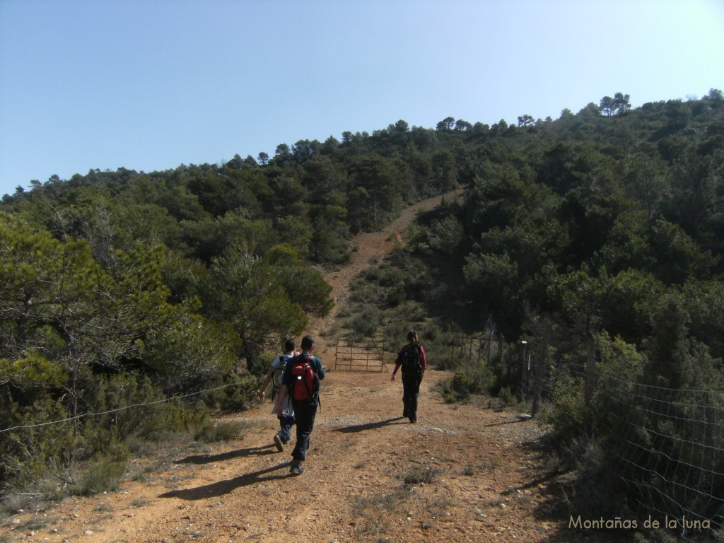 Camino de subida por la Sierra de Miralles