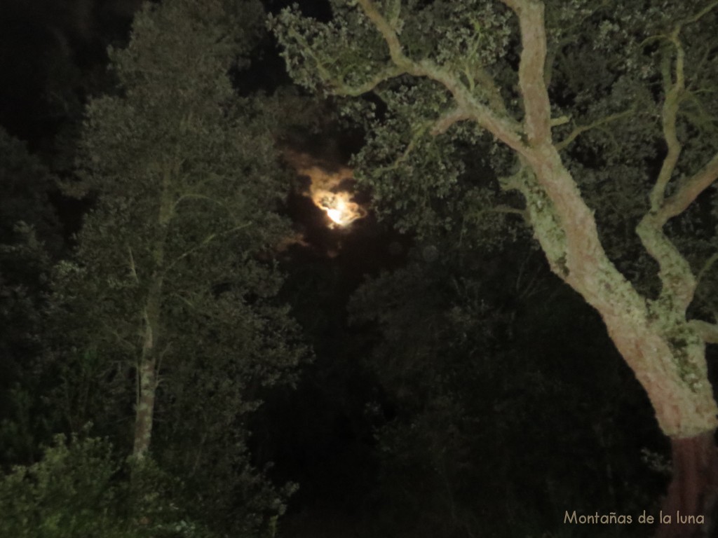 La luna quiere asomarse entre las nubes