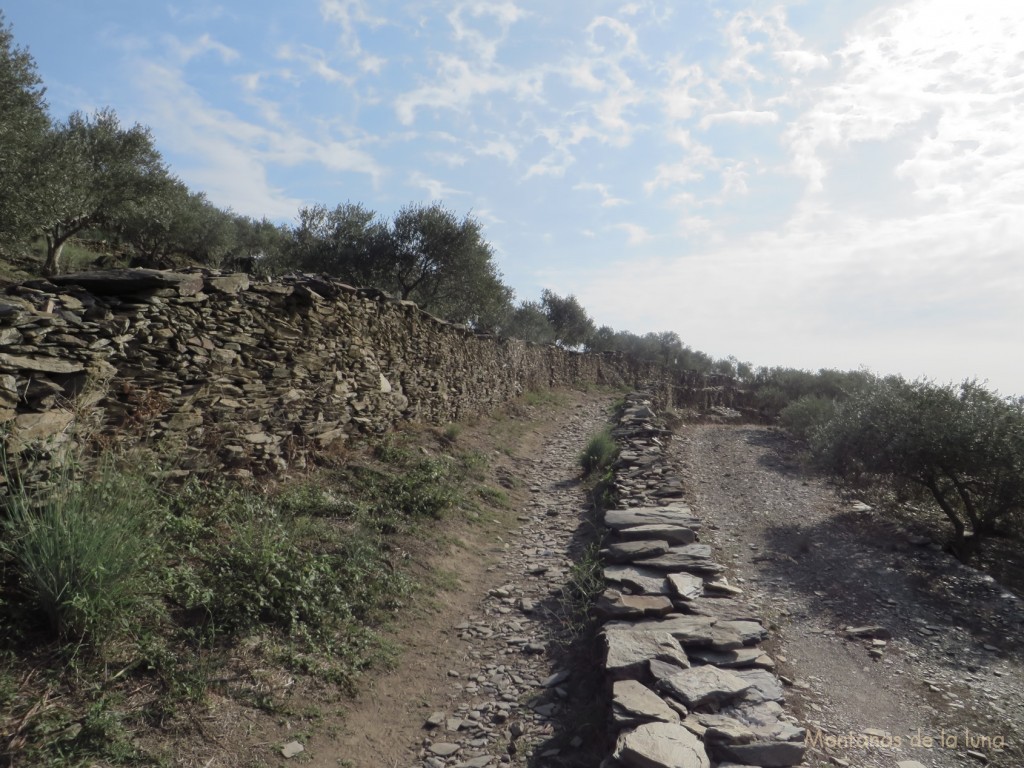 Camí Vell al Cap de Creus