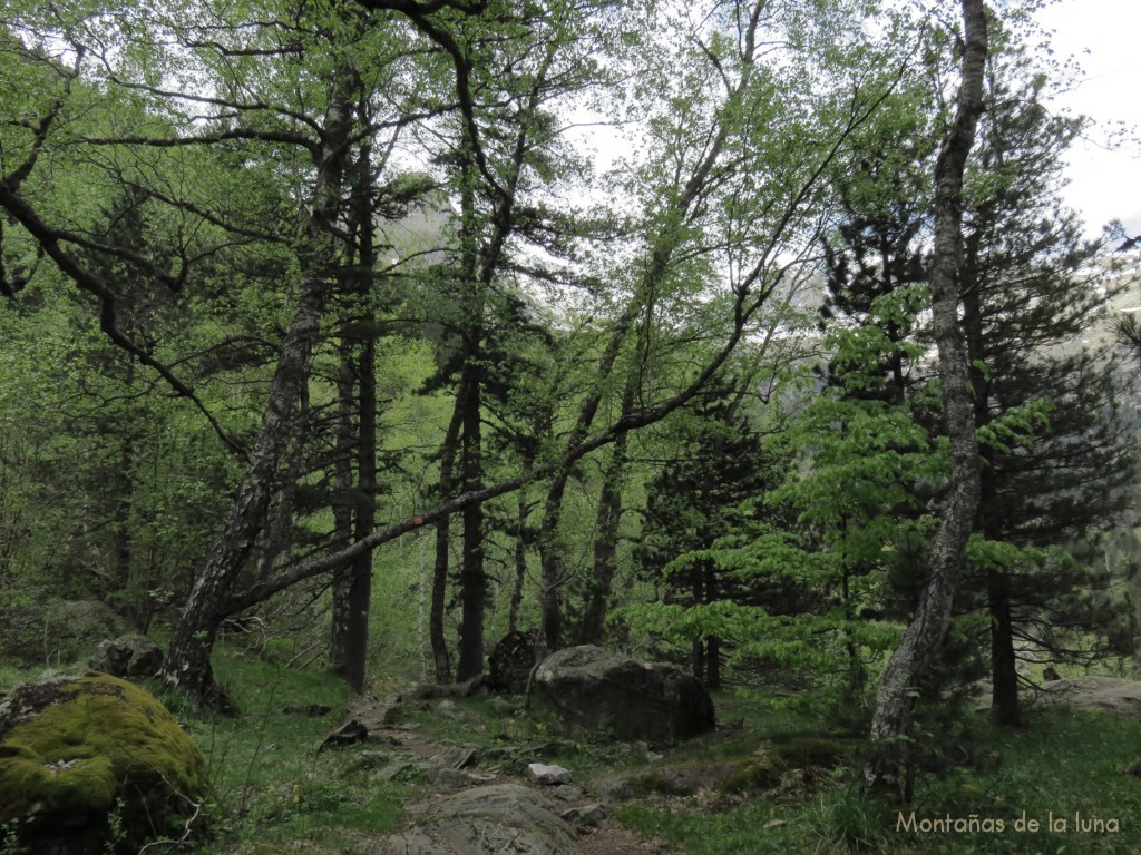 Valle de Eriste