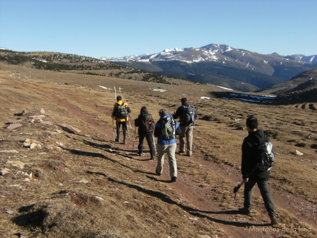 Al fondo las estribaciones del Puigmal