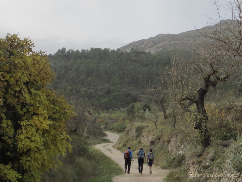 Camino de La Serrella