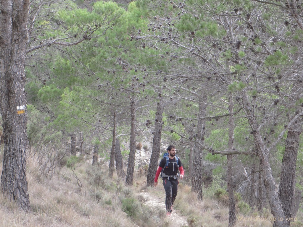 Vicente baja por la senda desde el Collado Borrell