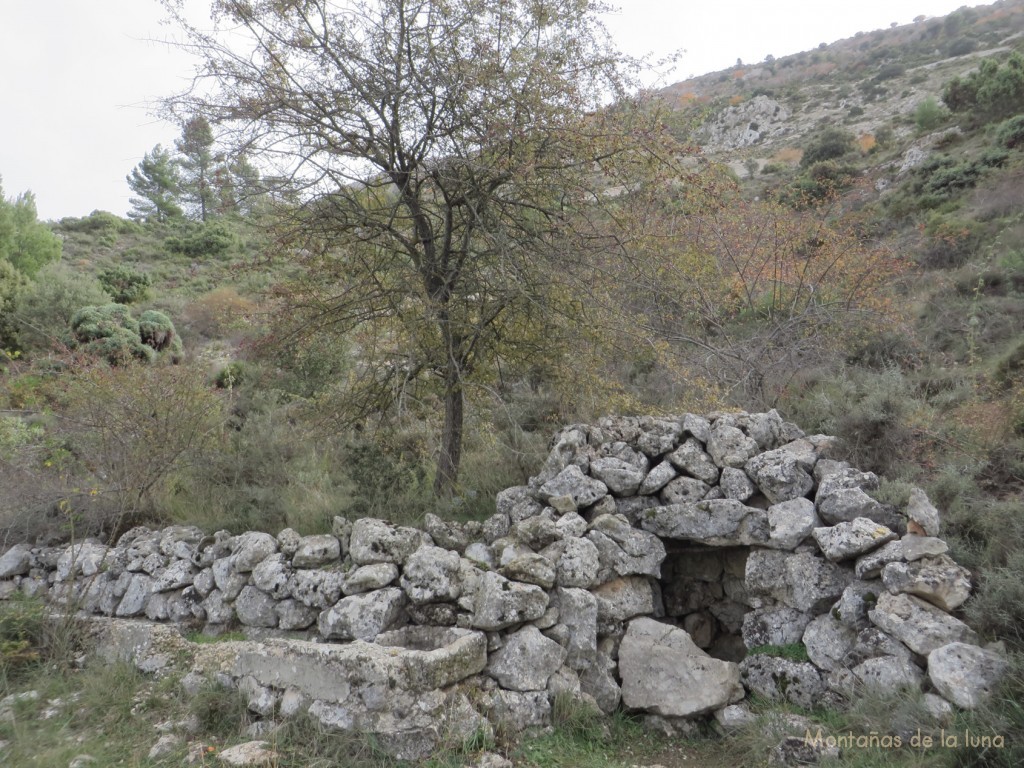 Aljibe o pozo de Campos