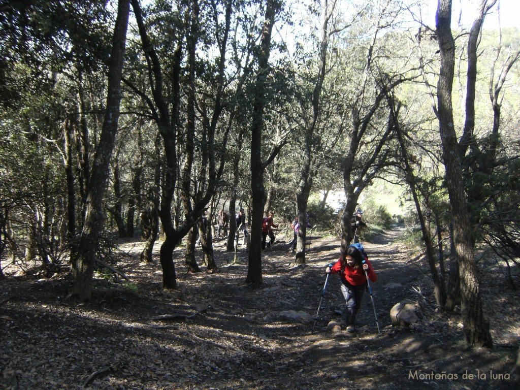 Saliendo de Collformic por la ruta normal hacia el Matagalls