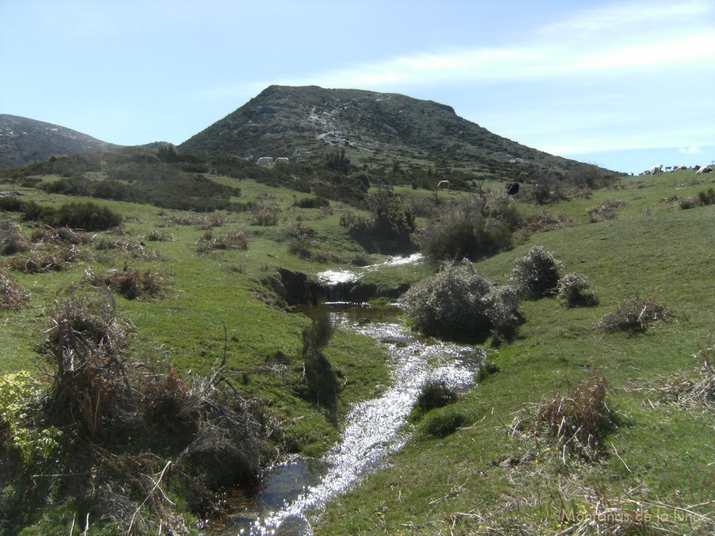 Arroyo que baja del Pla de La Barraca, arriba el Turó Gros de Santandreu