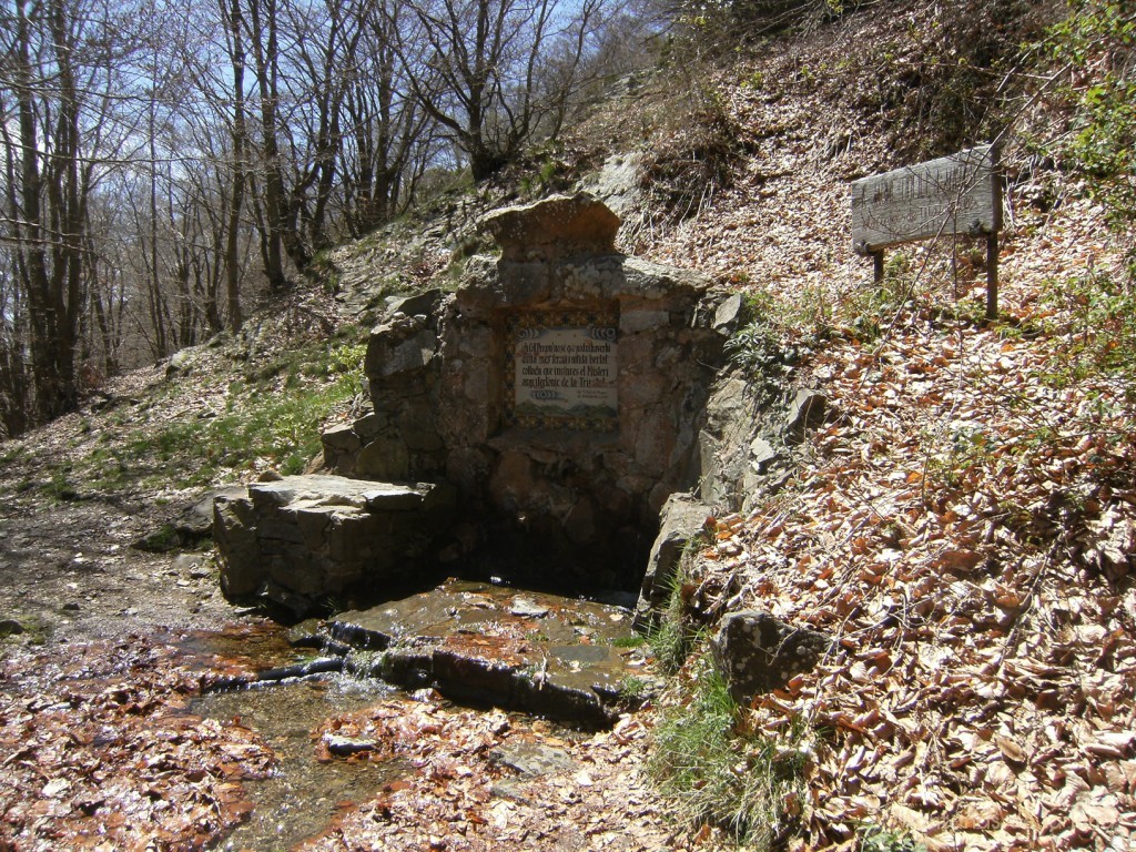 Font de Coll Pregon