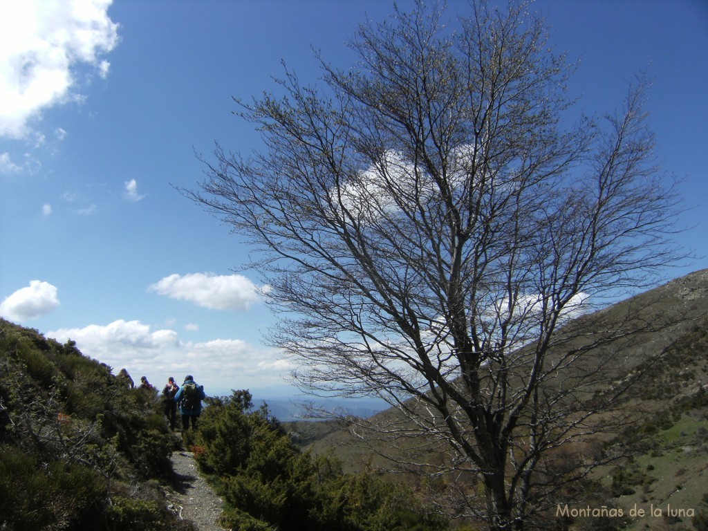 Camino al Pla de La Barraca