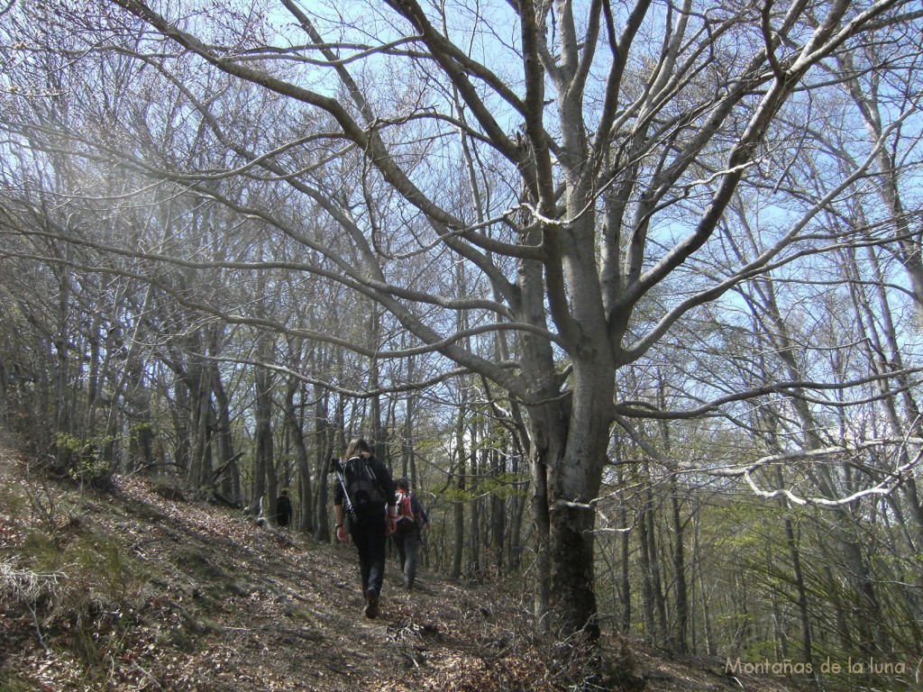 Camino del Pla d'en Besa