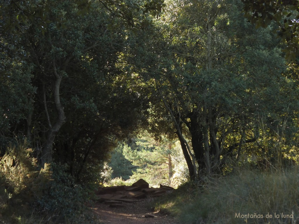 Entre Puig Ponents y el Turó dels Reis