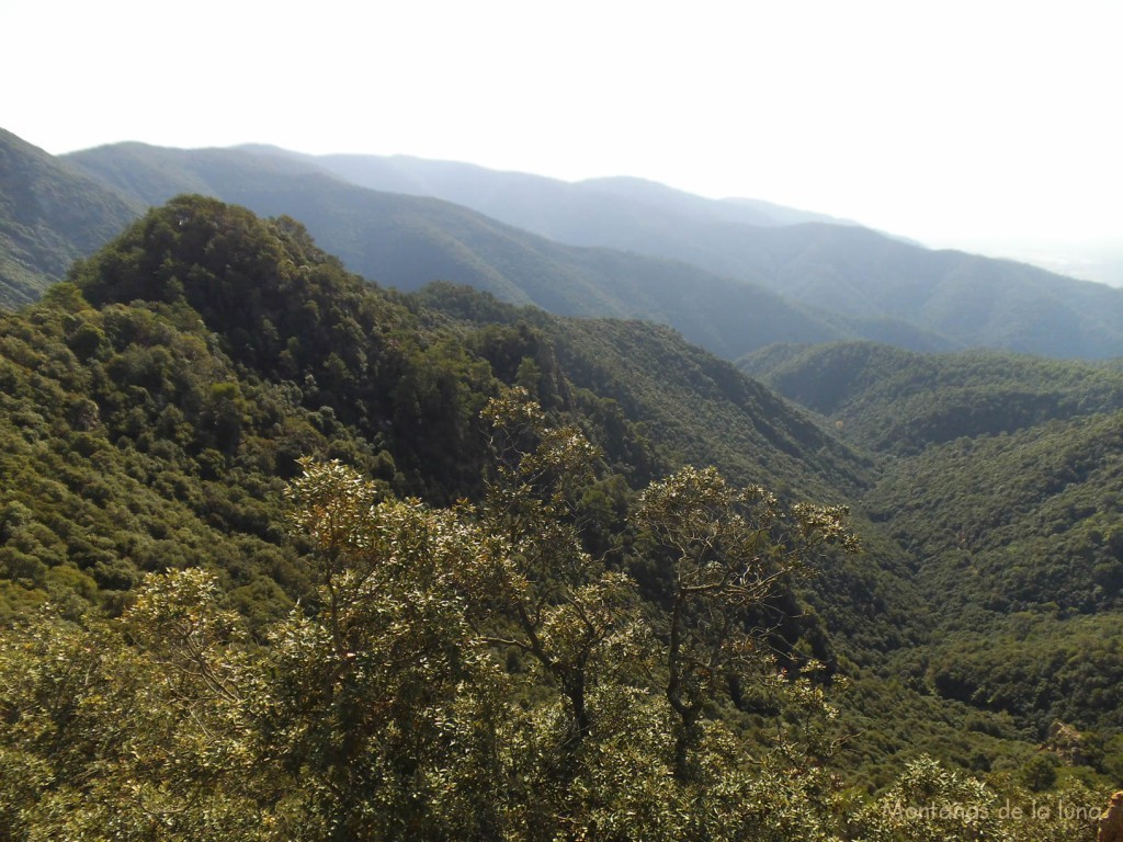 Turó dels Corbs y valle de Vallcàrquera