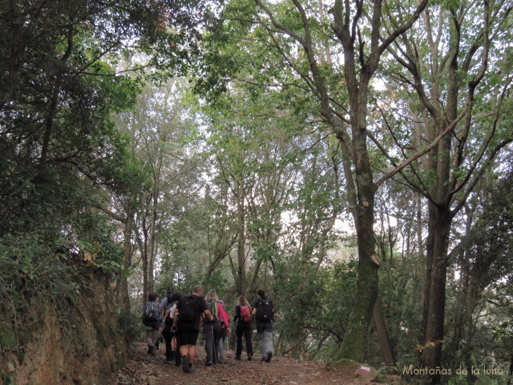 Camino por el G.R.-5 hacia el Coll de Basses