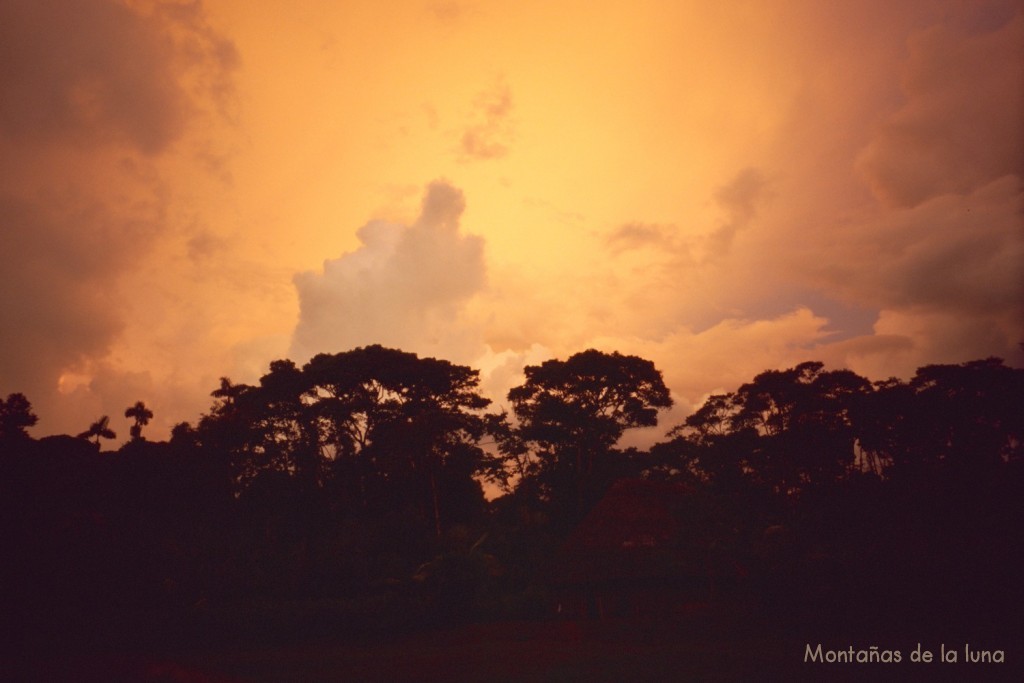 Tormenta en la selva amazónica