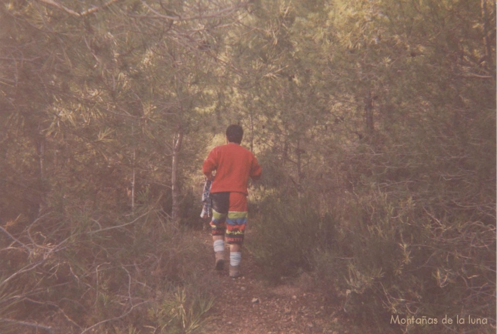 Bosques entre el Collado del San Cayetano y su cima