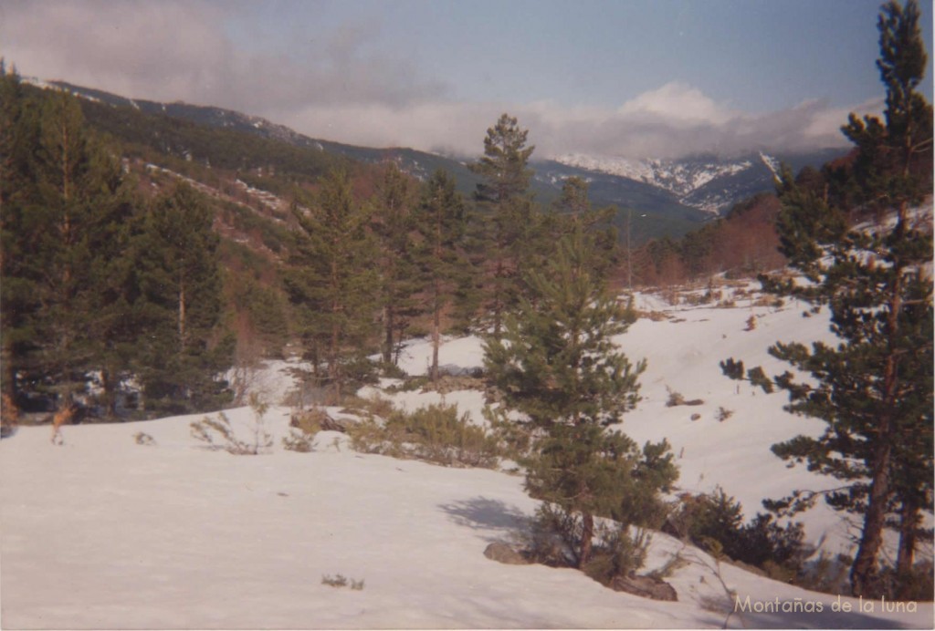 Alto Valle del Revinuesa con la Sierra Cebollera al fondo