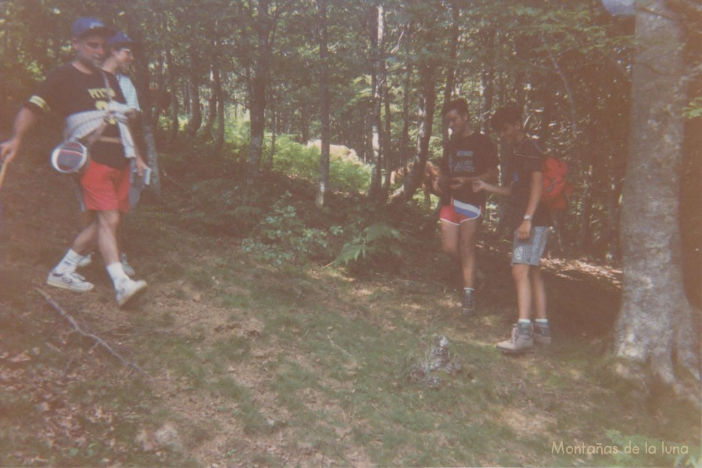 Parte de la Selva de Iraty en el Valle del Txangoa