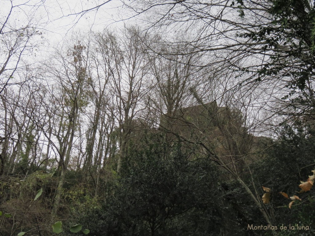 Entre los árboles, Sant Miquel de Castelló.