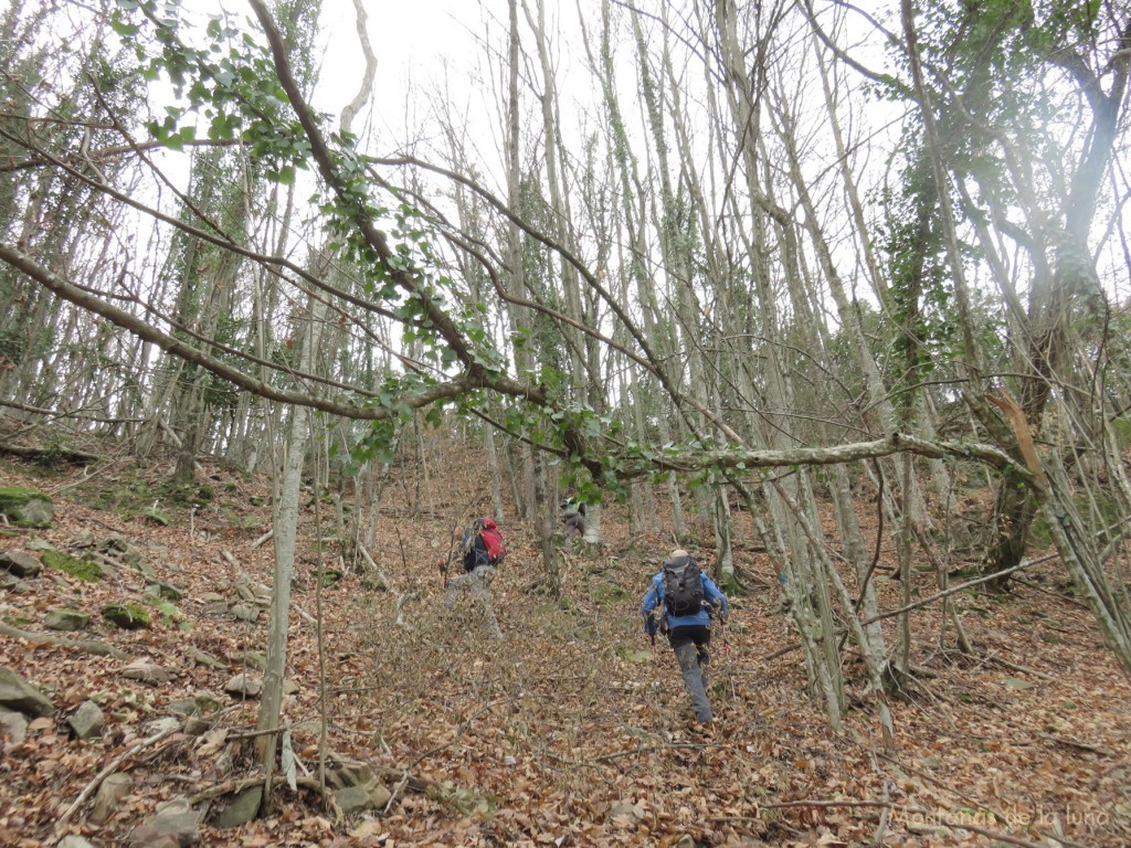 Subiendo al Coll de Rouric