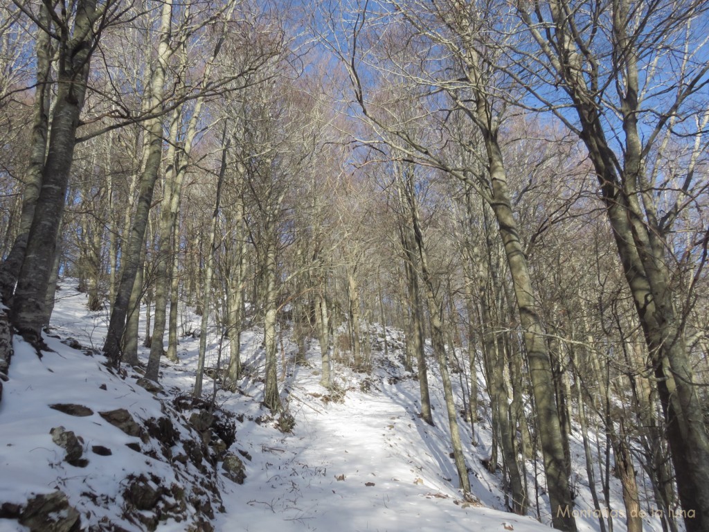 Saliendo del Coll de Santa Helena hacia Pla Pedrers