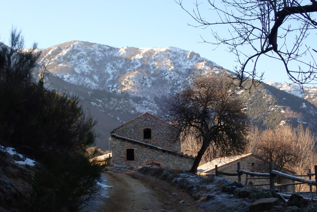 Llegando a Can Gat, detrás el Turó de Sant Miquel y de Collsaprunera