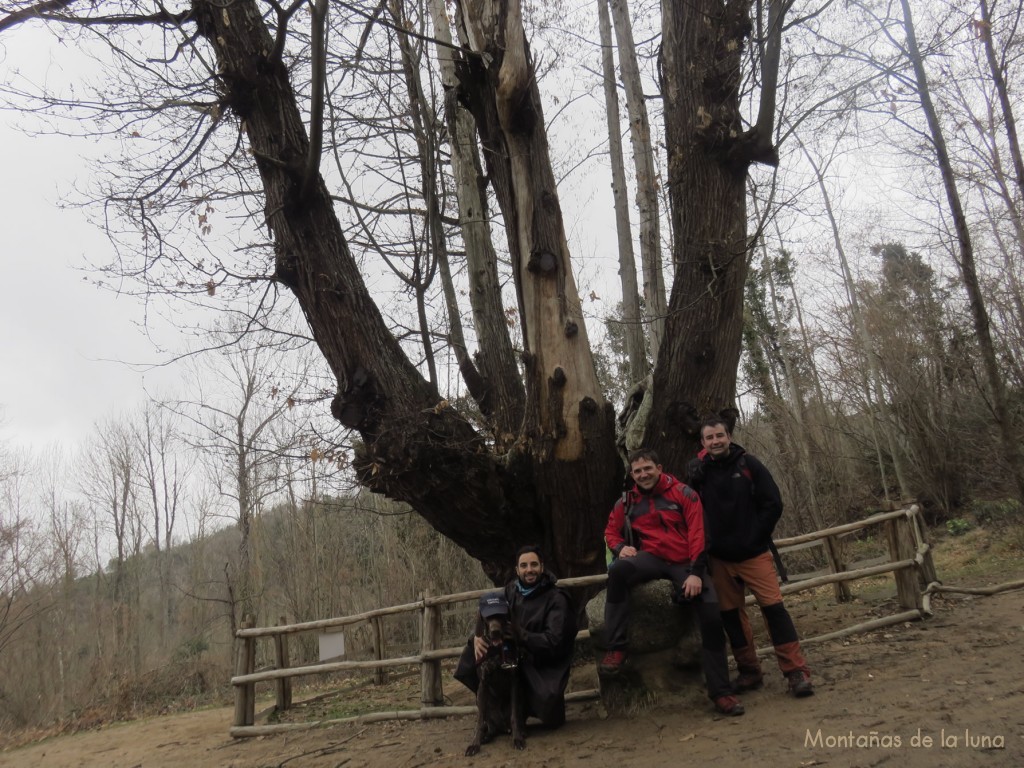 David, Mikel y Joaquín en el Castanyer de Les Nou Branques