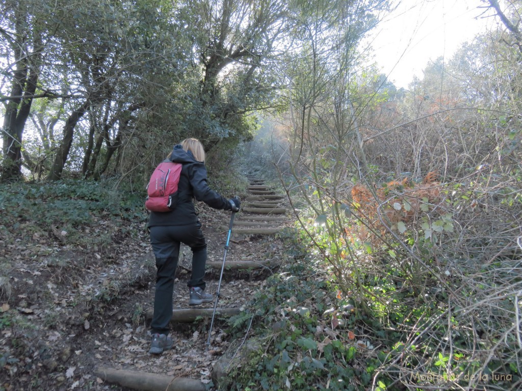 Anna subiendo al Volcá de Montolivet