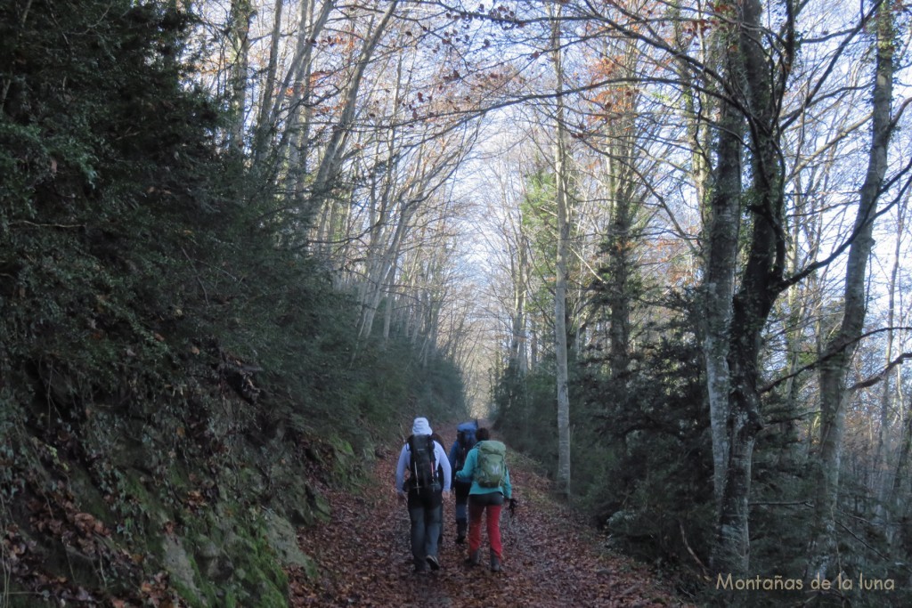 Camino entre Coll de Vidrà y Bellmunt