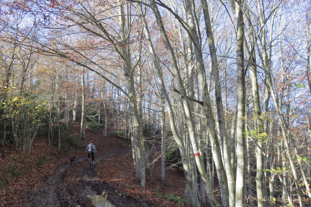 Camino entre Coll de Vidrà y Bellmunt