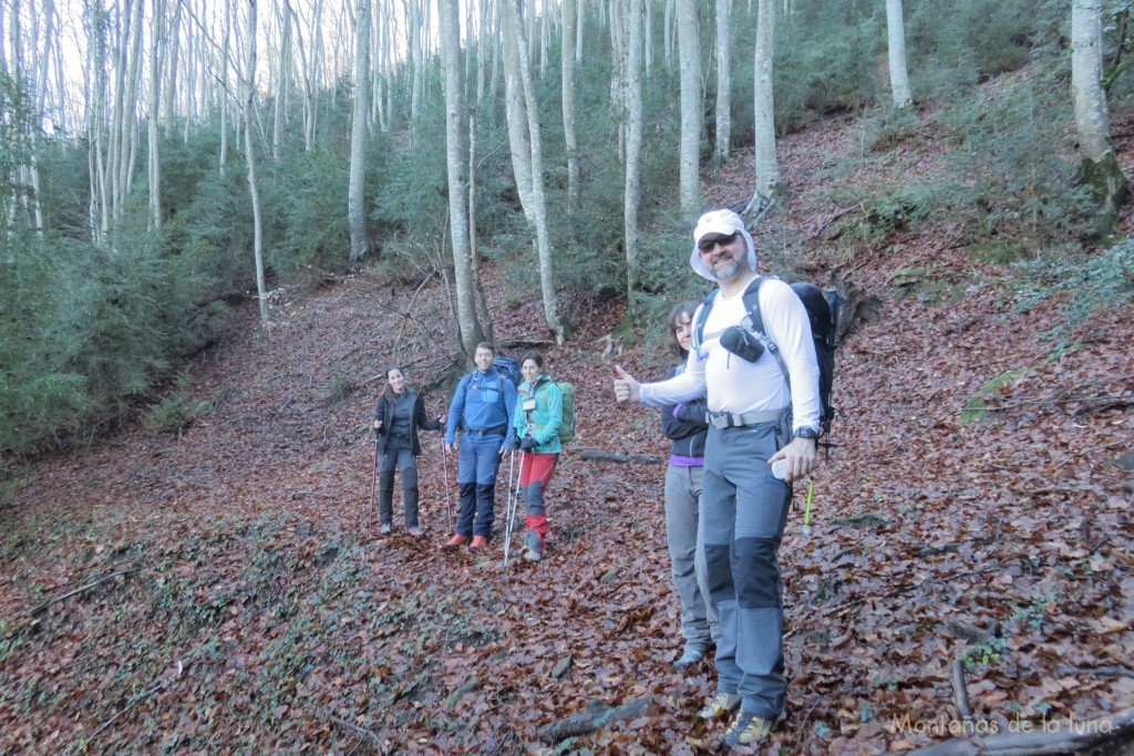 Delante Lea en el hayedo en la ladera norte de Bellmunt