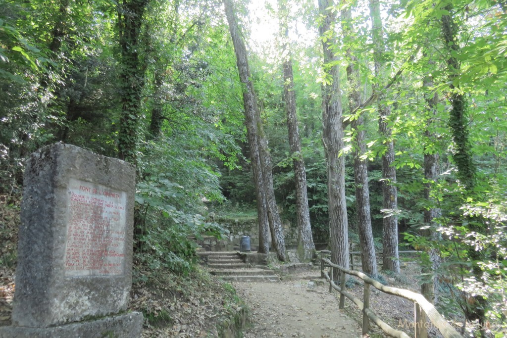 Font de La Oroneta