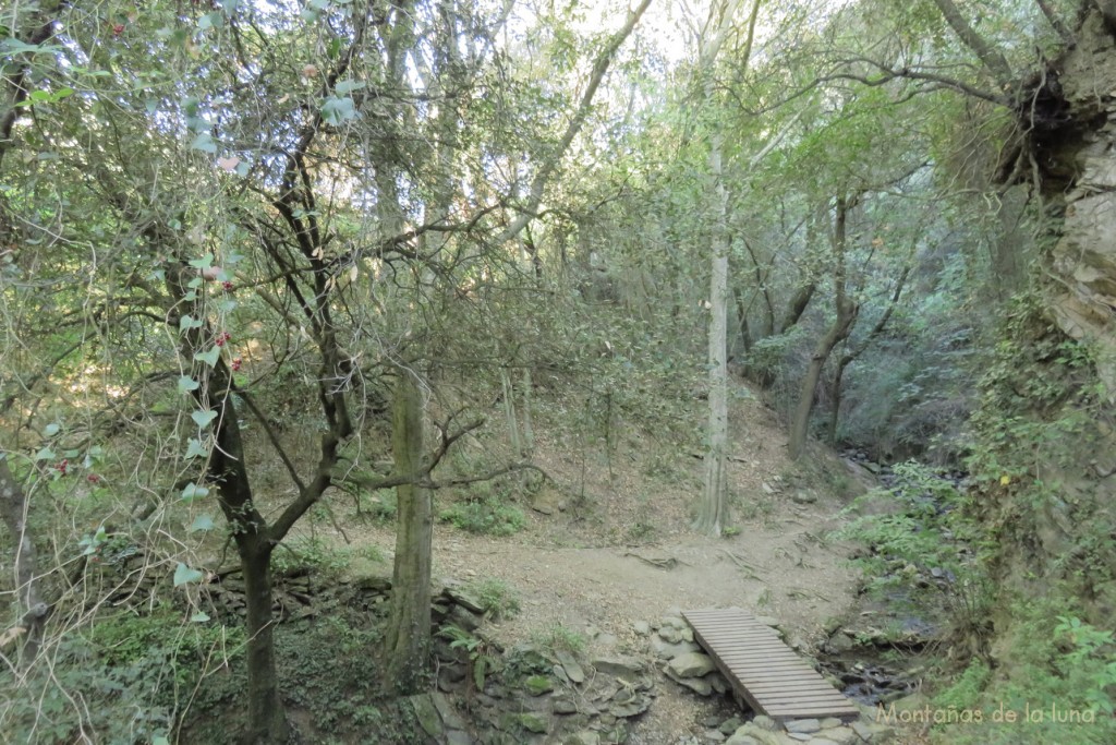 Cruzando la Riera del Cortès