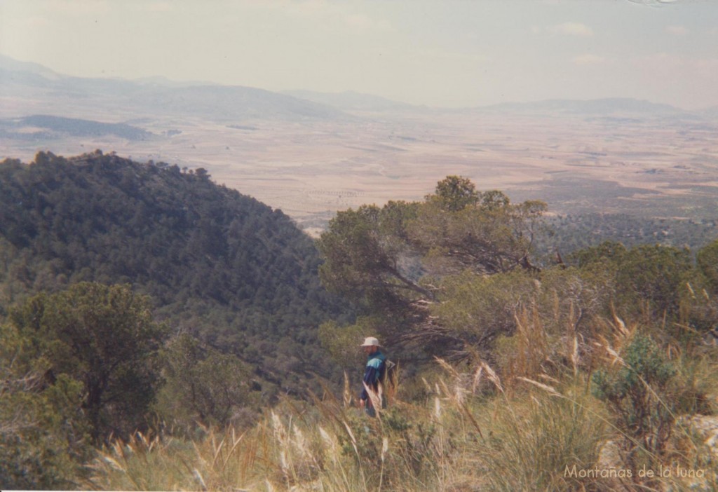 Paco bajando de la Sierra de Salinas. En el centro quedaría Pinoso con el Cerro de La Sal a la izquierda, al fondo de derecha a izquierda: Sierra de Quibas, Sierra de Barinas y la Sierra del Cantón asomándose