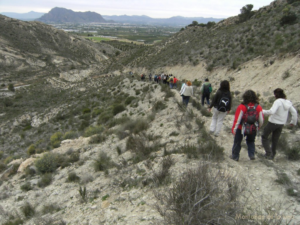 Bajando de Las Escoteras. Delante la Sierra de Callosa; al fondo centro y derecha la Sierra de Crevillente, mezclada con la Sierra del Algallet y Cantón. Al fondo izquierda la Sierra de La Pila