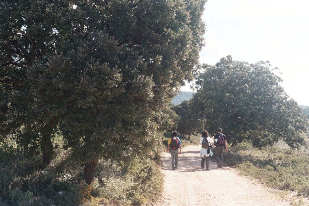 Camino de La Teixereta