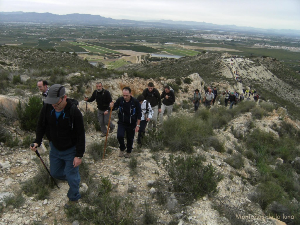 Subiendo al Cabezo de Los Mozos. Al fondo izquierda la Sierra de Crevillente, y a la derecha Almoradí y parte de Algorfa