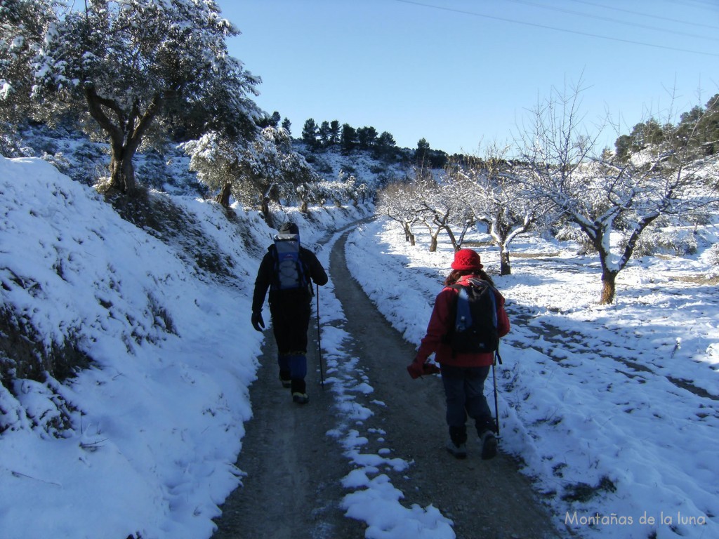 Camino del Mas del Perolit