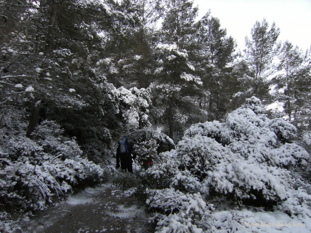 Camino en la ladera norte La Blasca, por los alrededores del Mas del Perolit