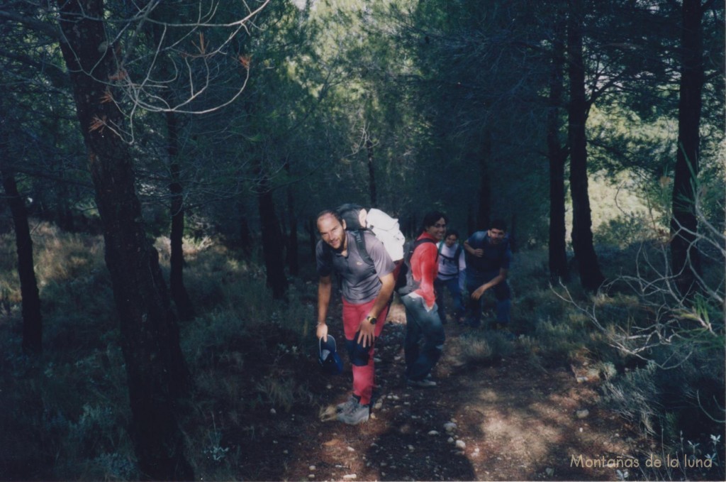 Delante Javi, Zaida con Infi y Quique detrás, bajando por la frondosa pinada del Reconc