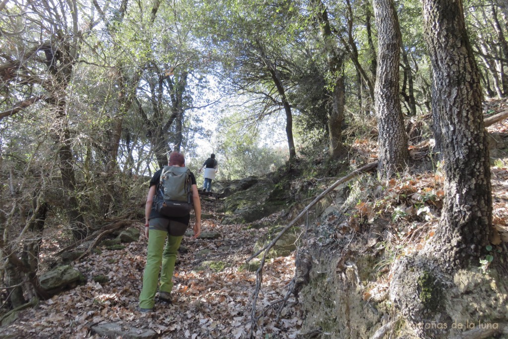 Subiendo por la senda al Castell de l'Envestida