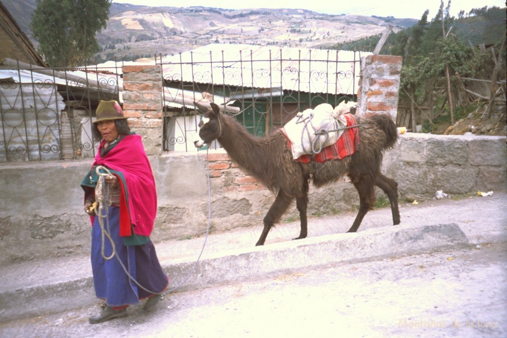 Indígena con su llama en Guamote