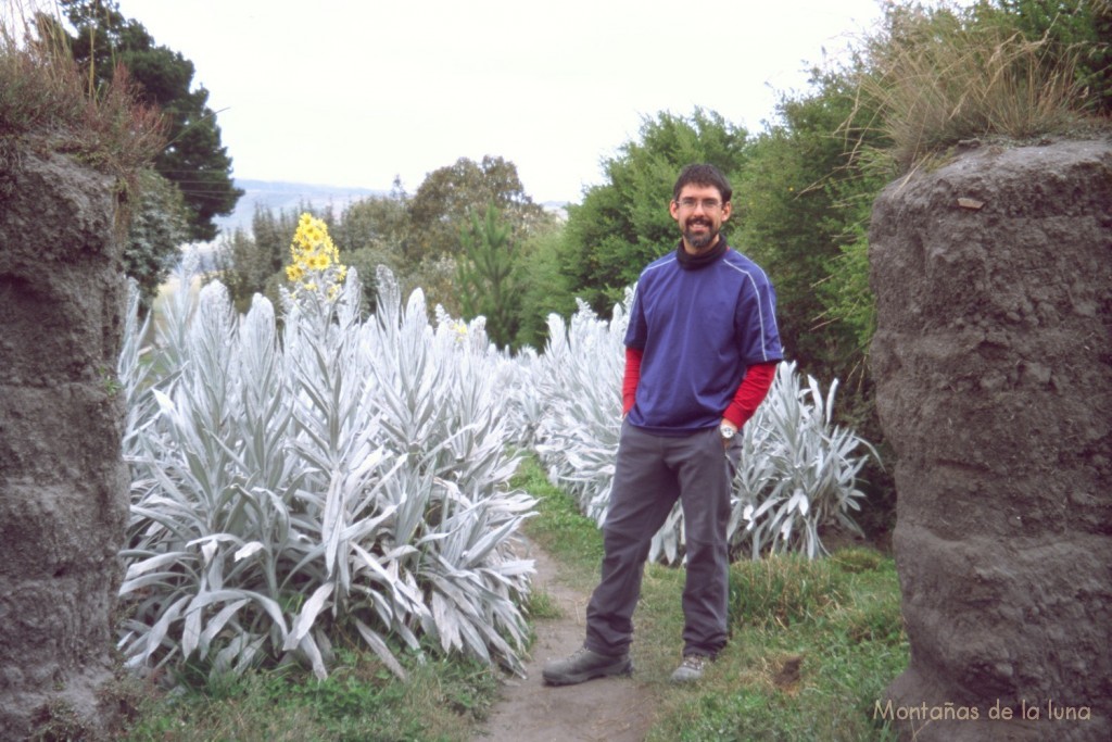 Jesús en el jardín botánico cerca de la Estación de Urbina