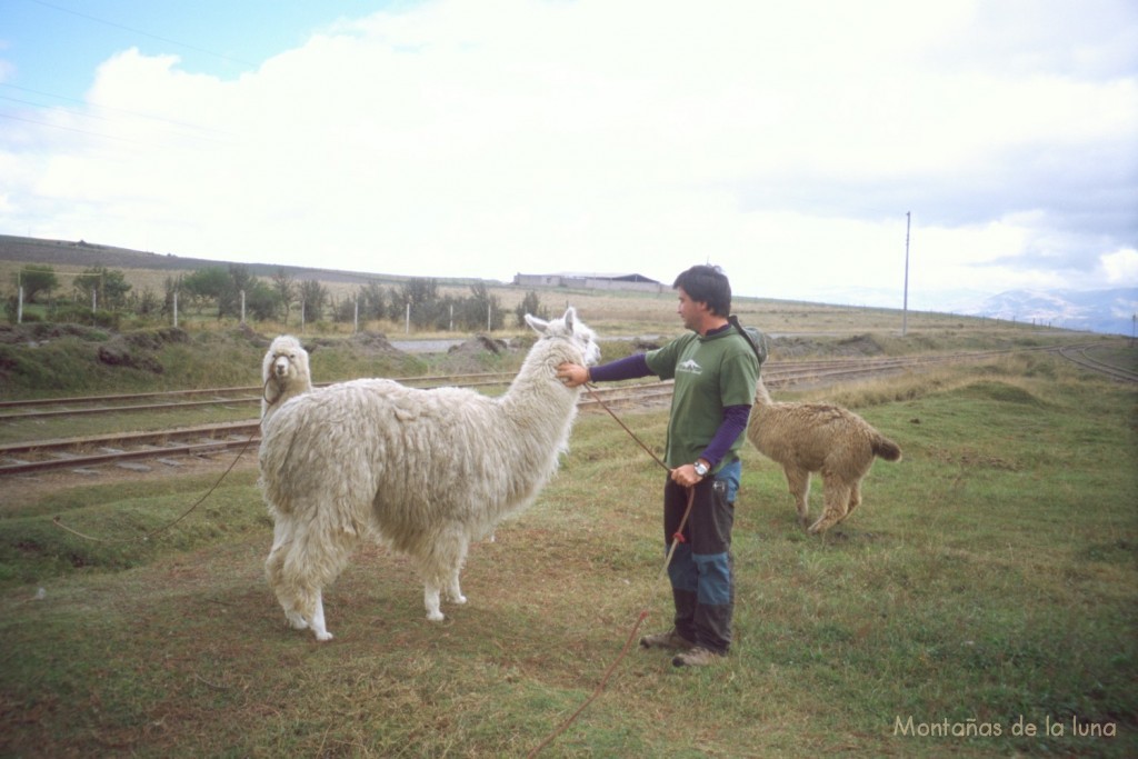 Joaquín acariciando una alpaca cerca de las vías del tren cerca de la Estación de Urbina