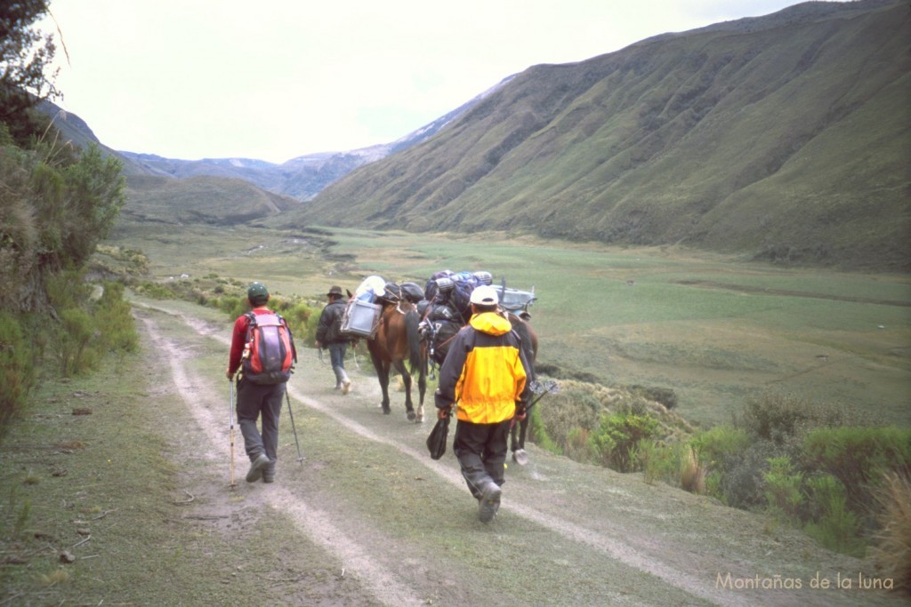 Las yeguas porteadoras de Segundo, Jesús y Paco por el camino hacia el Carihuayrazo, por el valle del Río Mocha